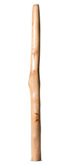 Earl Clements Didgeridoo (EC502)